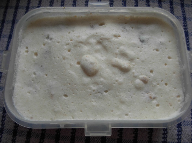 Gingerbread icecream mix