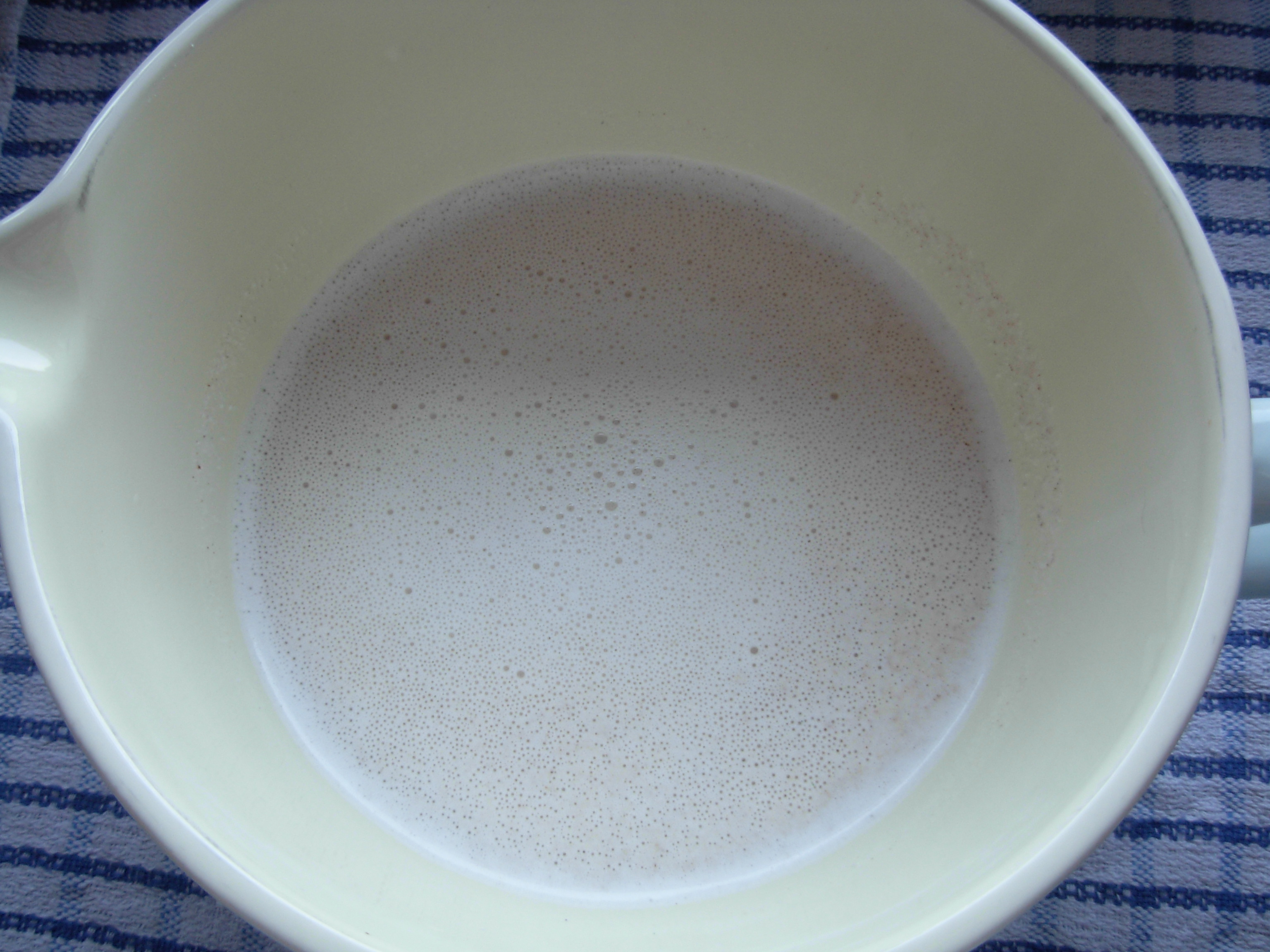 Sieved hazelnut milk